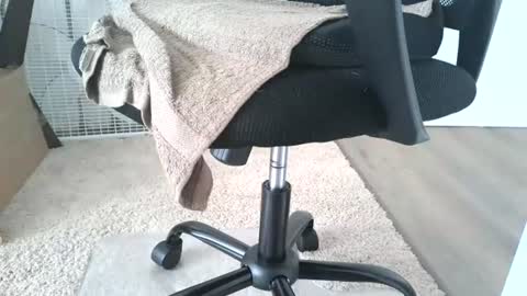 dapppper online show from 13, 6, 2026