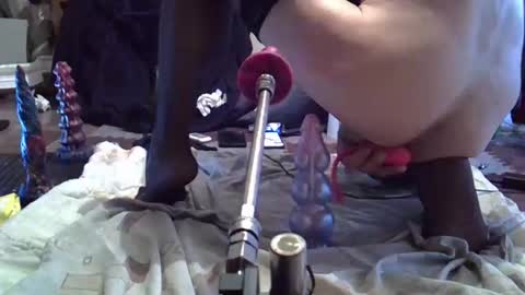 daqna1 online show from 11, 4, 2026