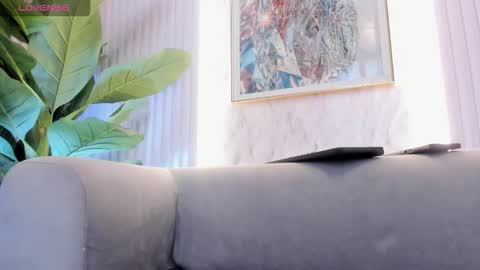    online show from 2, 11, 2025