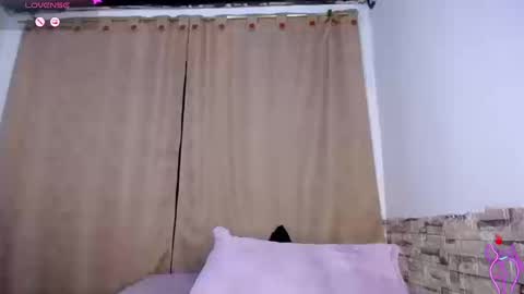 DARA online show from 11, 3, 2026