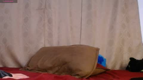 DARA online show from 16, 5, 2026