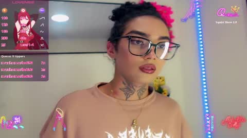 Dary online show from 1, 4, 2026