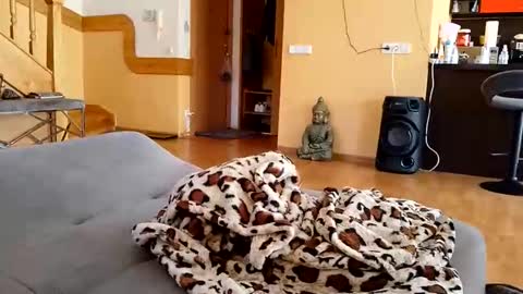 dxd69 online show from 22, 4, 2026