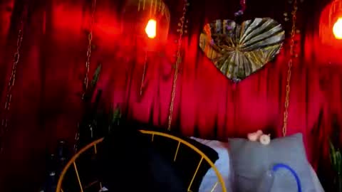 dark hunter  online show from 20, 2, 2026