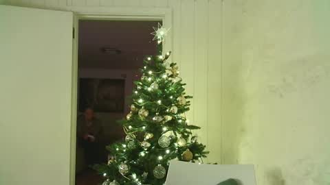 Snapshot of dartanjanas chatting on 3, 1, 2025 Dario online show from 3, 1, 2025