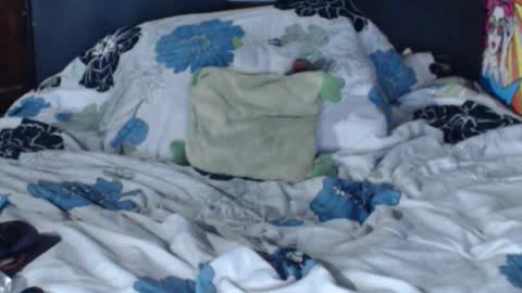 Snapshot of dasha6 chatting on 12, 2, 2025 dasha6 online show from 12, 2, 2025