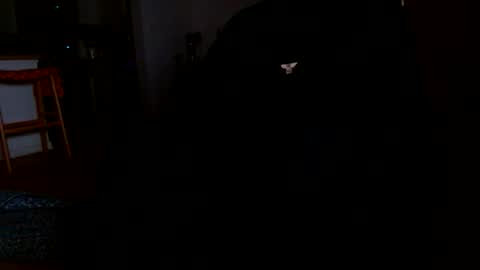 datyo1234 online show from 17, 3, 2026