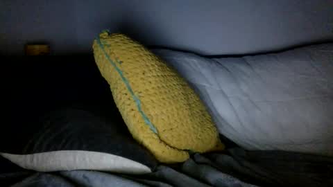 Snapshot of daveb709709709 chatting on 12, 1, 2026 daveb709709709 online show from 12, 1, 2026