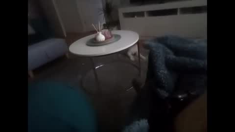 davf76 online show from 19, 2, 2026