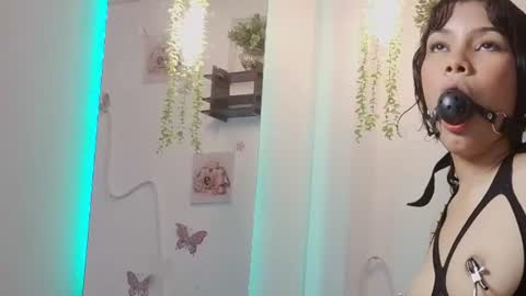 Davi online show from 11, 6, 2026