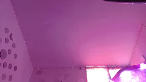 Snapshot of david_fox01 chatting on 12, 11, 2025 David Fox online show from 12, 11, 2025