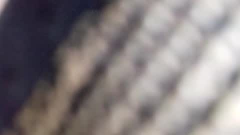 Snapshot of david_stone1969 chatting on 23, 1, 2025 david_stone1969 online show from 23, 1, 2025