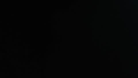 DavidSexxx777 online show from 24, 11, 2025