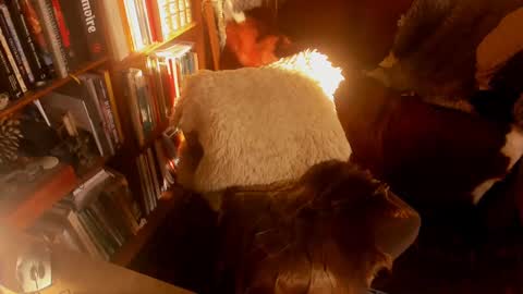 Snapshot of davidbo_no1 chatting on 15, 1, 2025 David online show from 15, 1, 2025