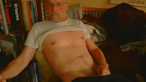 Snapshot of davidbo_no1 chatting on 4, 11, 2025 David online show from 4, 11, 2025