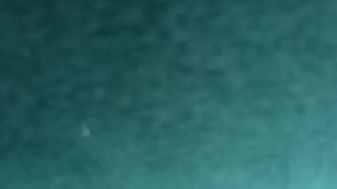 davidf75 online show from 12, 11, 2025