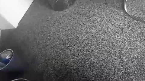 davidf75 online show from 17, 11, 2025