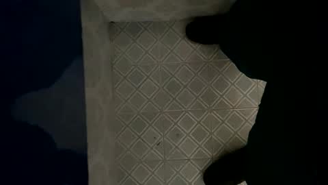 davzsoher online show from 6, 1, 2025