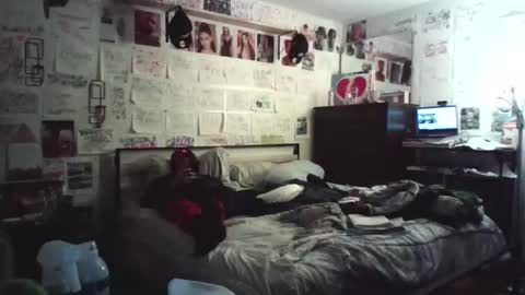 dbeamon92 online show from 13, 2, 2026