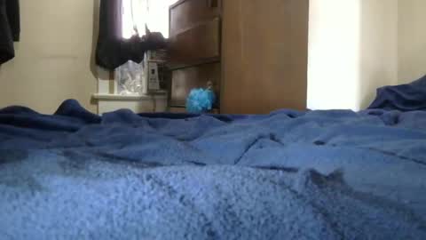 Snapshot of dcdrew3 chatting on 10, 12, 2024 Dcdrew3 online show from 10, 12, 2024