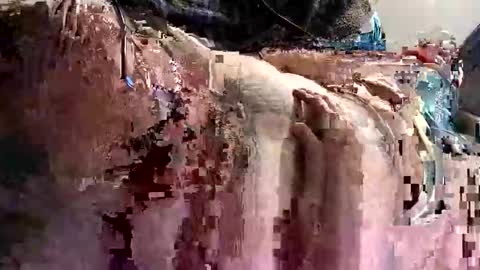 Snapshot of decoyx5o5 chatting on 9, 1, 2025 decoyx5o5 online show from 9, 1, 2025