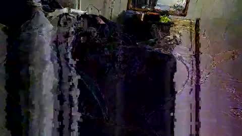 Snapshot of decoyx5o5 chatting on 6, 2, 2025 decoyx5o5 online show from 6, 2, 2025