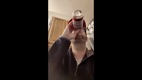 deesabird online show from 13, 2, 2026