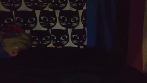 CozyClementine online show from 9, 4, 2026