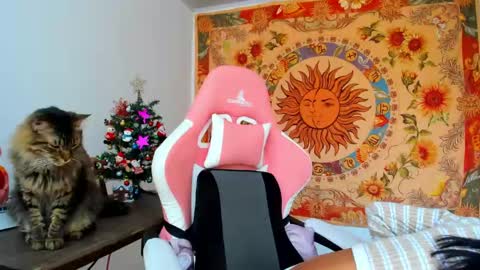 Snapshot of demeter__ chatting on 11, 12, 2024 demeter__ online show from 11, 12, 2024