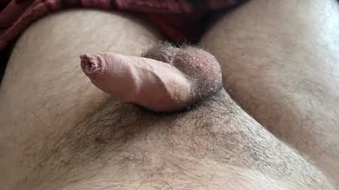 LilRoach online show from 16, 11, 2025