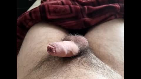 LilRoach online show from 10, 2, 2026