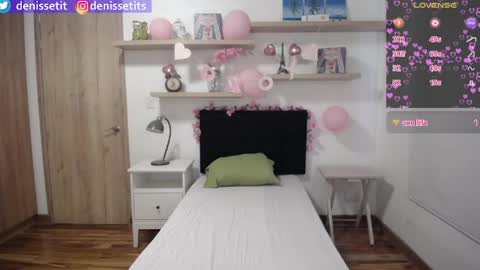 Snapshot of denissetits chatting on 24, 4, 2026 online show from 24, 4, 2026