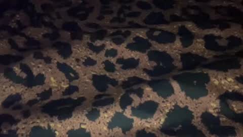 Snapshot of derek829099 chatting on 11, 9, 2025 derek829099 online show from 11, 9, 2025