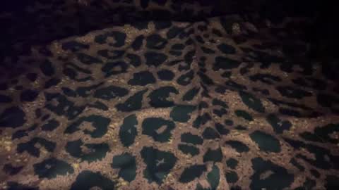 Snapshot of derek829099 chatting on 9, 10, 2025 derek829099 online show from 9, 10, 2025