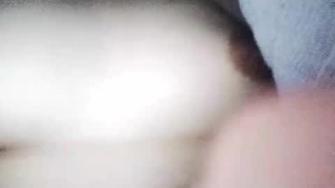 Snapshot of desurvv0999 chatting on 19, 11, 2025 desurvv0999 online show from 19, 11, 2025