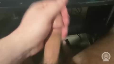 Snapshot of devin255395 chatting on 3, 12, 2025 devin255395 online show from 3, 12, 2025