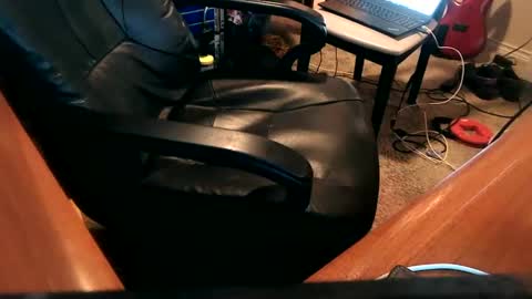 Snapshot of dfwgonewrong chatting on 25, 12, 2024 dfwgonewrong online show from 25, 12, 2024