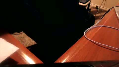 Snapshot of dfwgonewrong chatting on 2, 1, 2025 dfwgonewrong online show from 2, 1, 2025