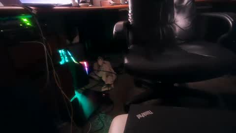 Snapshot of dfwgonewrong chatting on 4, 2, 2025 dfwgonewrong online show from 4, 2, 2025