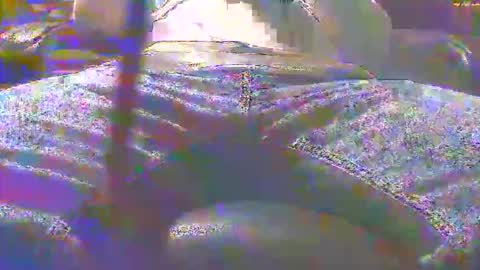 Snapshot of dfwgonewrong chatting on 3, 11, 2025 dfwgonewrong online show from 3, 11, 2025