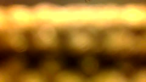 Snapshot of dhbbc454336 chatting on 11, 4, 2026 Marcus D-von Steel as the raunchy ass sniffer thrill me with your online show from 11, 4, 2026
