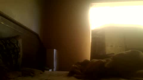 dickdaxxx online show from 2, 3, 2025