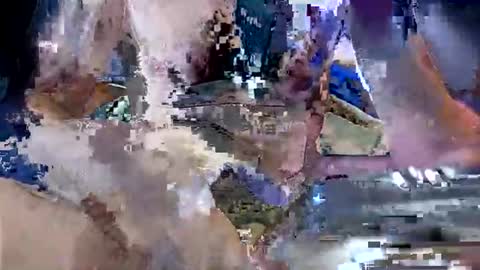 dickforyou333 online show from 14, 6, 2026