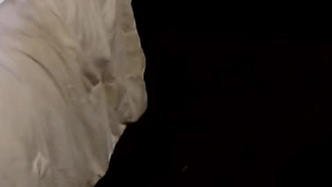 Sparkx online show from 9, 9, 2025