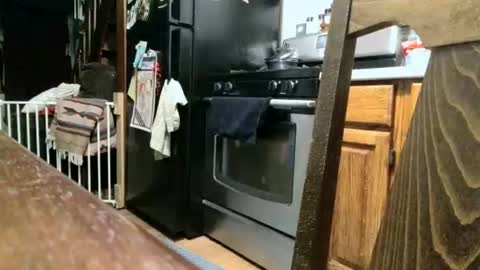 dickwack4u online show from 13, 9, 2025