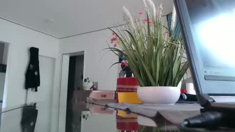 squirtcock online show from 12, 4, 2026