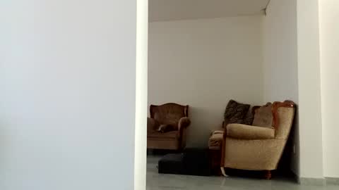 Snapshot of diegomoreno19 chatting on 15, 12, 2024 Diego online show from 15, 12, 2024