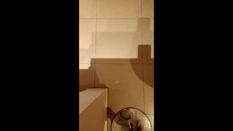 Diego online show from 21, 2, 2026