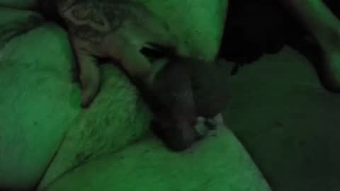 dikkdixon online show from 28, 2, 2026