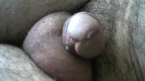 Bob online show from 11, 1, 2025